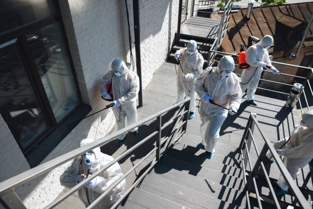 Best Industrial Mold Remediation  in Little Canada, MN