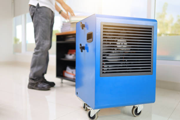 Best Industrial Mold Remediation  in Little Canada, MN