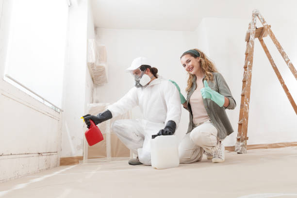 Best Airborne Mold Testing  in Little Canada, MN