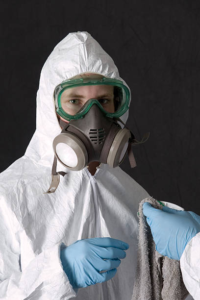 Trusted Little Canada, MN Mold Removal Experts